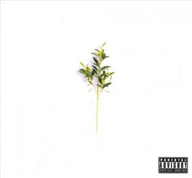 Music - CD Olive Branch Book