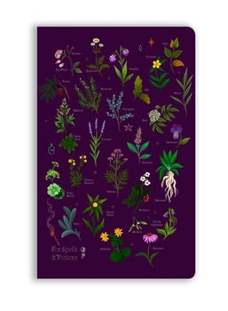 Misc. Anna Stead: For Spells & Potions (Soft Touch Journal) Book