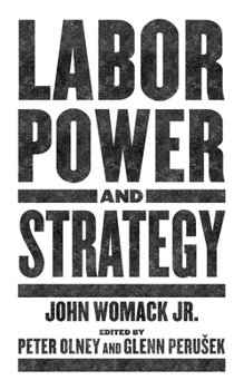 Paperback Labor Power and Strategy Book