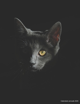 Calendario annuale 2020: ? Manuale dell'organizzatore pratico per il 2020 ? Anteprima di 12 mesi ? 52 pianificatore settimanale con compiti e ... ? motif: Katze im Dunkeln (Italian Edition)