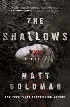Hardcover The Shallows: A Nils Shapiro Novel Book
