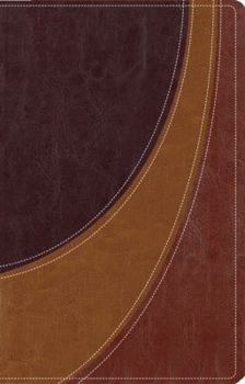 Imitation Leather Case for Christ Study Bible-NIV: Investigating the Evidence for Belief Book