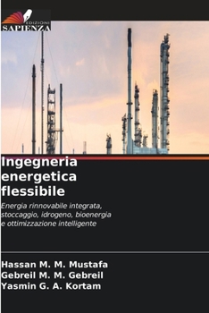 Ingegneria energetica flessibile (Italian Edition)