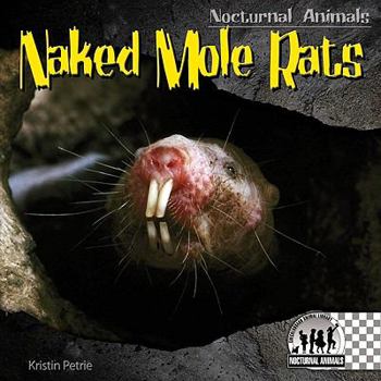 Naked Mole Rats - Book  of the Nocturnal Animals