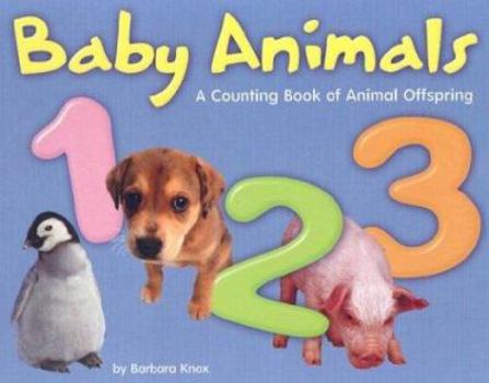 Hardcover Baby Animals 1, 2, 3: A Counting Book of Animal Offspring Book