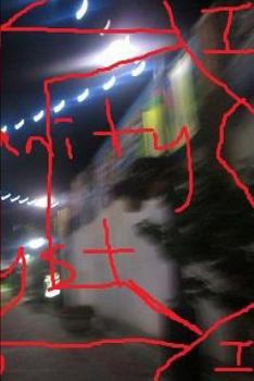 Paperback Insanity Shyst Book