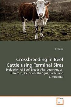 Paperback Crossbreeding in Beef Cattle using Terminal Sires Book