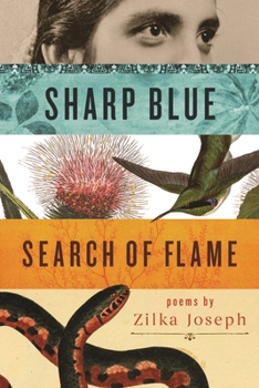 Paperback Sharp Blue Search of Flame Book
