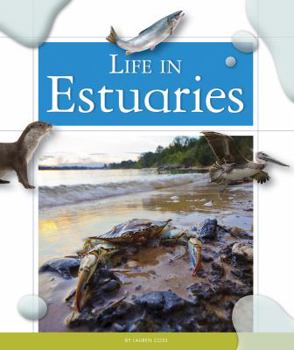 Library Binding Life in Estuaries Book
