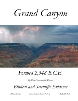 Paperback Grand Canyon: A New Paradigm Book