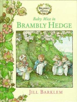 Hardcover Baby Mice in Brambly Hedge Book