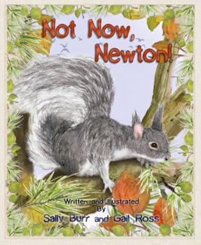 Paperback Not Now Newton PB (Black Forest Friends) Book