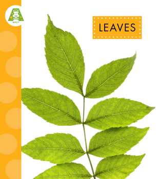 Leaves (Spot Plant Parts)