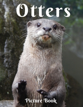 Otters Picture Book: Picture Book for Alzheimer's Patients and Seniors with Dementia (Gift Book) Animal Safari Feline Gifts with Otters for Adults Men Women Kids Photo Book of Otters