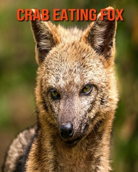 Crab Eating Fox: Beautiful Pictures & Interesting Facts Children Book About Crab Eating Fox