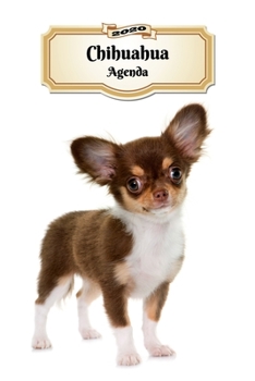 2020 Chihuahua Agenda: 107 Pagine | Dimensioni DIN A5 | Pianificatore Settimanale | 12 Mesi | Due Pagine Per Settimana | Calendario | Diario | Cane (Italian Edition)