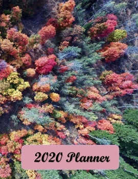 Paperback 2020 Planner: Weekly & Monthly Planner - January 2020-December 2020 - 2 Page Weekly Layout with Monthly Calendar View - Birthdays, T Book