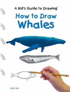 Library Binding How to Draw Whales Book