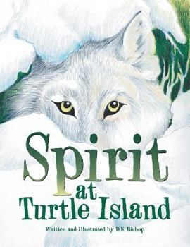 Paperback Spirit at Turtle Island Book