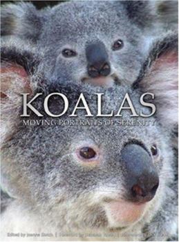 Hardcover Koalas: Moving Portraits of Serenity Book