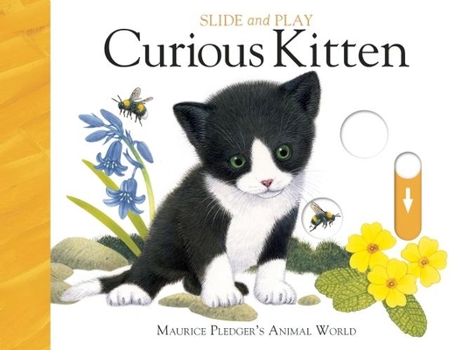 Board book Slide and Play: Curious Kitten Book