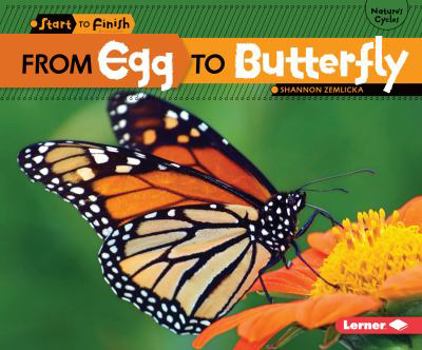 From Egg to Butterfly (Start to Finish) - Book  of the Start to Finish, Second Series