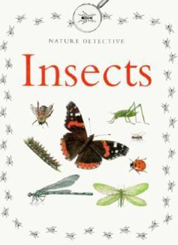 Hardcover Insects Book