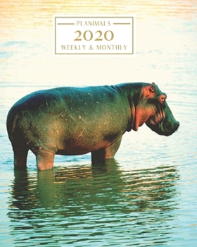 Paperback 2020: Weekly and Monthly Planner/Calendar Jan 2020 - Dec 2020 Hippopotamus Book