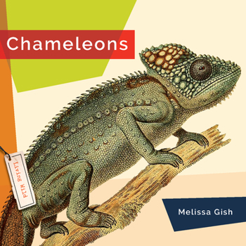 Chameleons - Book  of the Living Wild