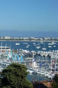 Paperback Cannes Notebook Book