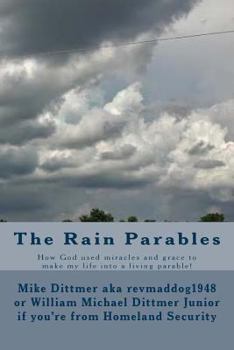 Paperback The Rain Parables Book