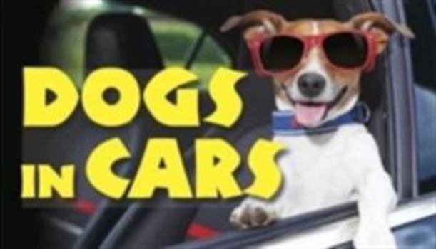 Hardcover Dogs in Cars Book