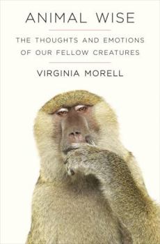 Hardcover Animal Wise: The Thoughts and Emotions of Our Fellow Creatures Book