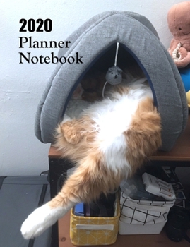 2020 Planner Notebook: Orange Tabby Cat Planner Book With Monthly and Weekly Calendars, Monthly Habit Tracker, Vision Board and Brain Dump Sheets