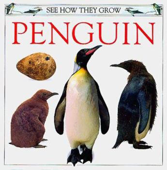 Hardcover Penguin Book