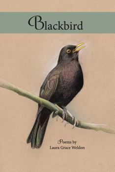 Paperback Blackbird: poems Book