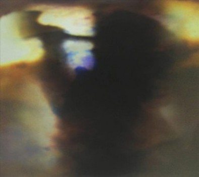 Vinyl Fall Be Kind Book