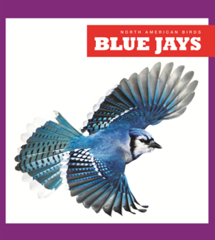 Library Binding Blue Jays Book