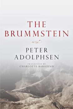 Paperback The Brummstein Book