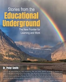 Paperback Stories from the Educational Underground: The New Frontier for Learning and Work Book