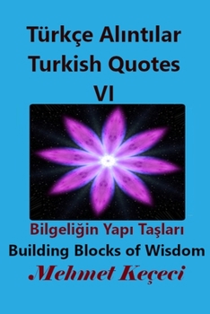 Paperback Türkçe Al&#305;nt&#305;lar VI: Turkish Quotes VI [Turkish] Book