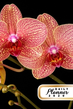 Daily Planner 2020: Orchid Flowers Gardening 52 Weeks 365 Day Daily Planner for Year 2020 6”x9” Everyday Organizer Monday to Sunday Flower Grower ... New Year Gift 2020 Orange Red Orchids