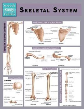 Paperback Skeletal System (Speedy Study Guide) Book