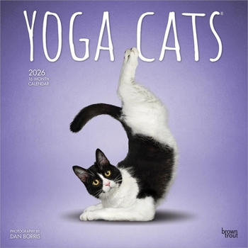 Calendar Yoga Cats Official 2026 12 X 24 Inch (Hanging) Monthly Square Wall Calendar Plastic-Free Book