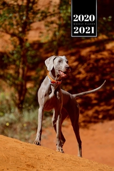 Great Dane Dog Calendar Week Planner 2020 / 2021 - Desert Tour: Pup Puppy Doggie Pet Owner Weekly Bullet Journal Notebook Diary in 6” x 9” Inch Pocket Size