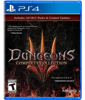 Game - Playstation 4 Dungeons 3 Complete Book