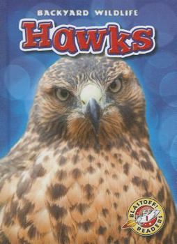 Hawks - Book  of the Backyard Wildlife