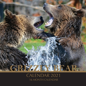 Grizzly Bear Calendar 2021: 16 Month Calendar