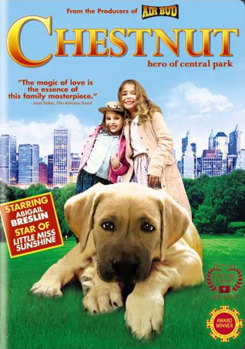 DVD Chestnut: Hero of Central Park Book