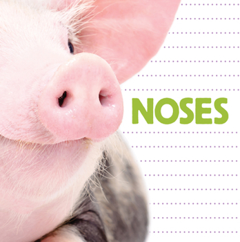 Board book Noses Book